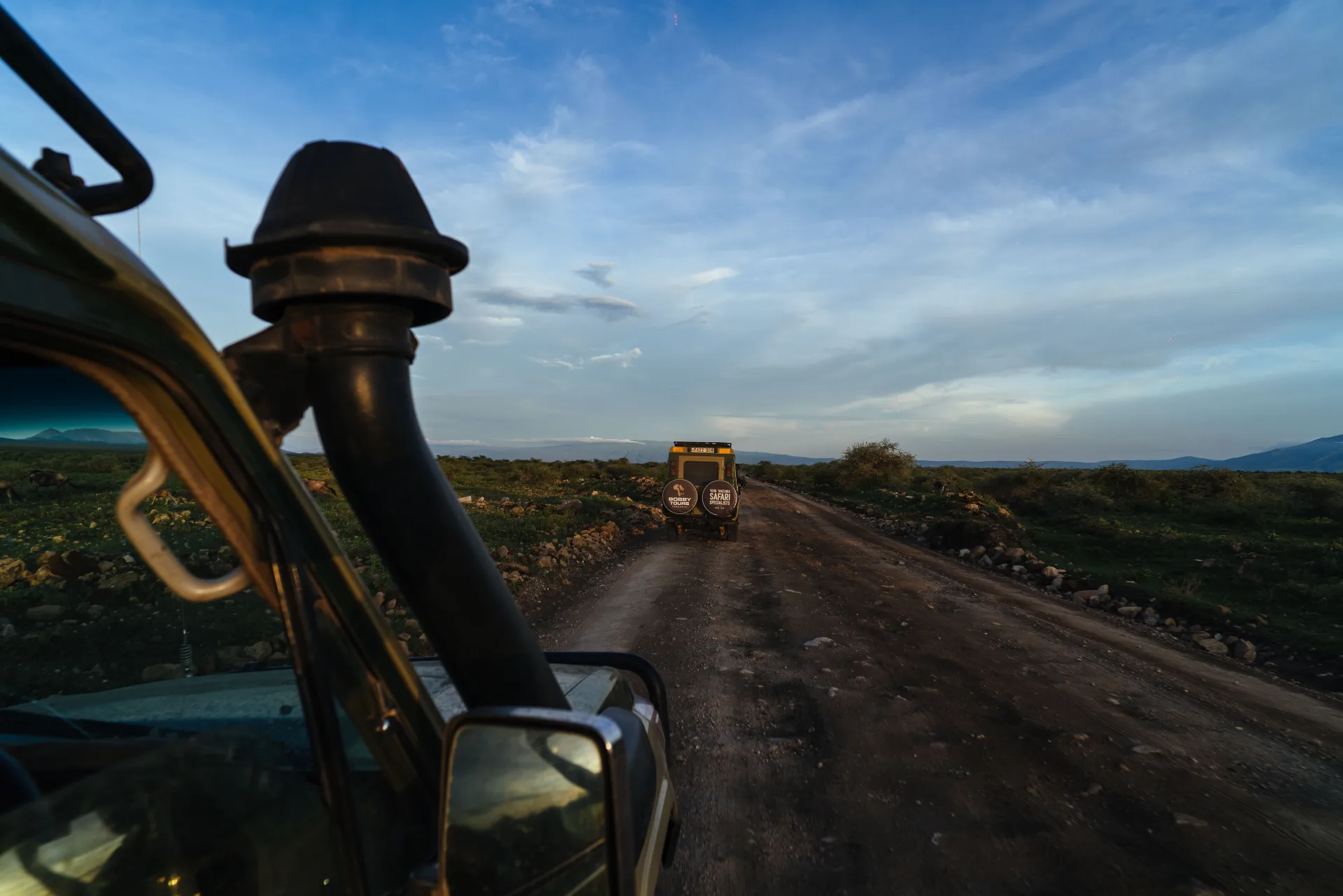 What to Expect on a Bespoke Safari